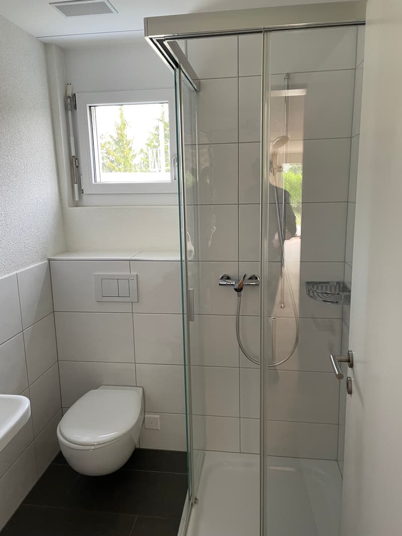 Gemütliche 4.5-Zimmerwohnung im Erdgeschoss (7)