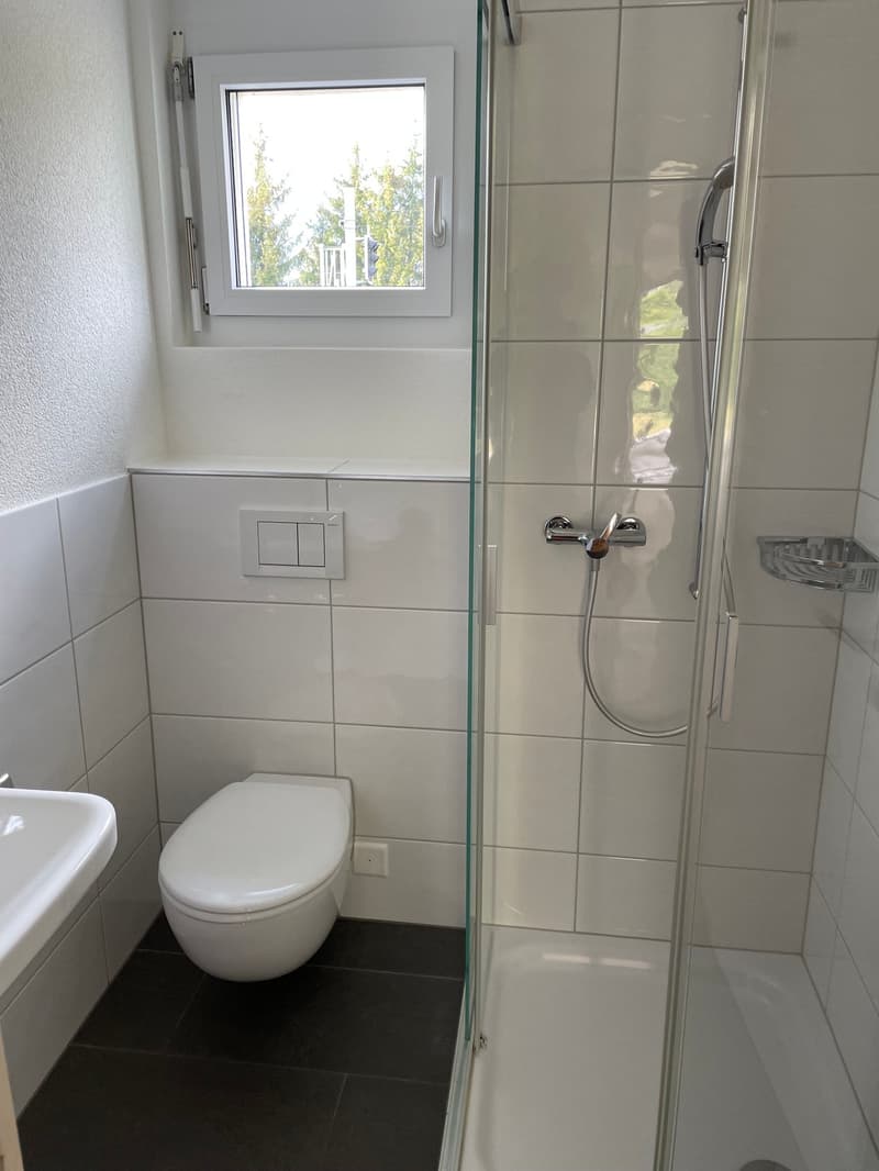 Gemütliche 4.5-Zimmerwohnung im Erdgeschoss (6)