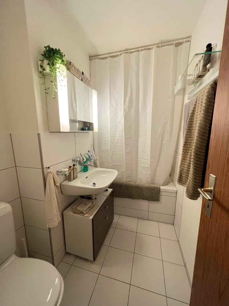 Schöne 2-Zimmerwohnung in gepflegter Überbauung (3)