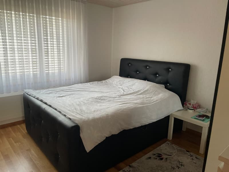 Charmante Wohnung (3)