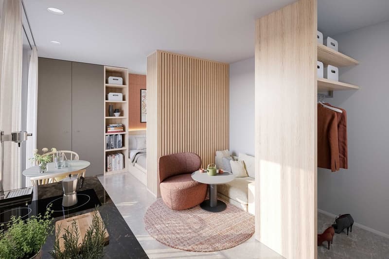 Small space with compact furniture including bed, round table, chairs, small rug, kitchen counter with a stovetop, potted plants, a wall mounted shelf, and closet with hanging clothes