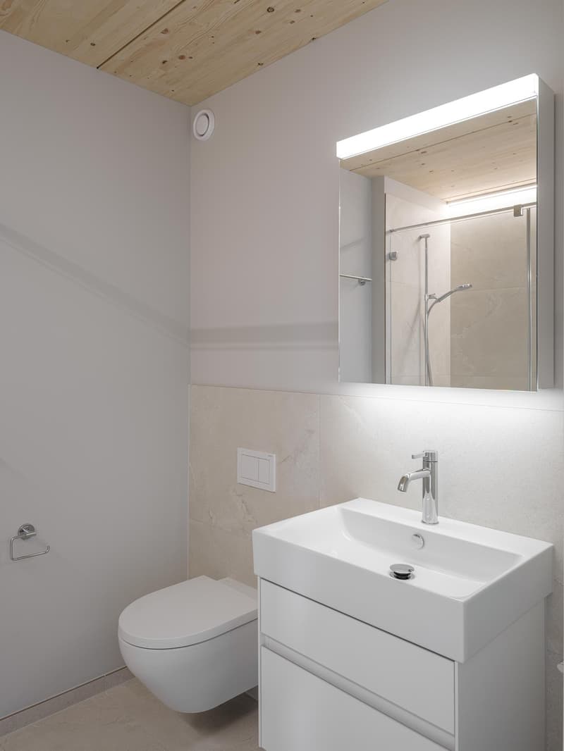 Eco-friendly living in urban new apartments in Altstetten (5)