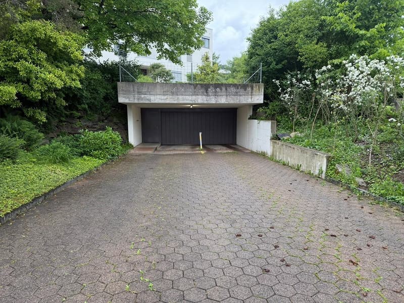 Places de stationnement à Adliswil à louer (1)
