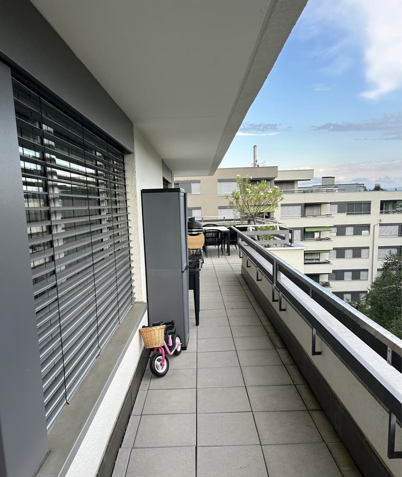 Grosszügige 3.5 Zimmer Wohnung (9)