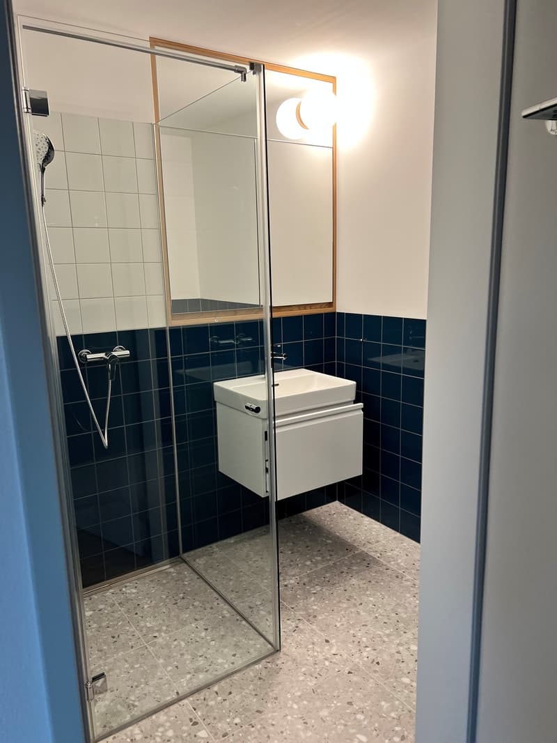 Wohnen im Grünen Moderne 3.5-Zimmerwohnung in Zürich-Witikon (7)