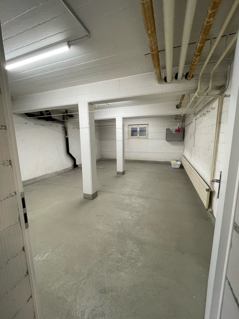 Empty basement room with concrete floor, white walls, and ceiling with pipes and a light fixture.