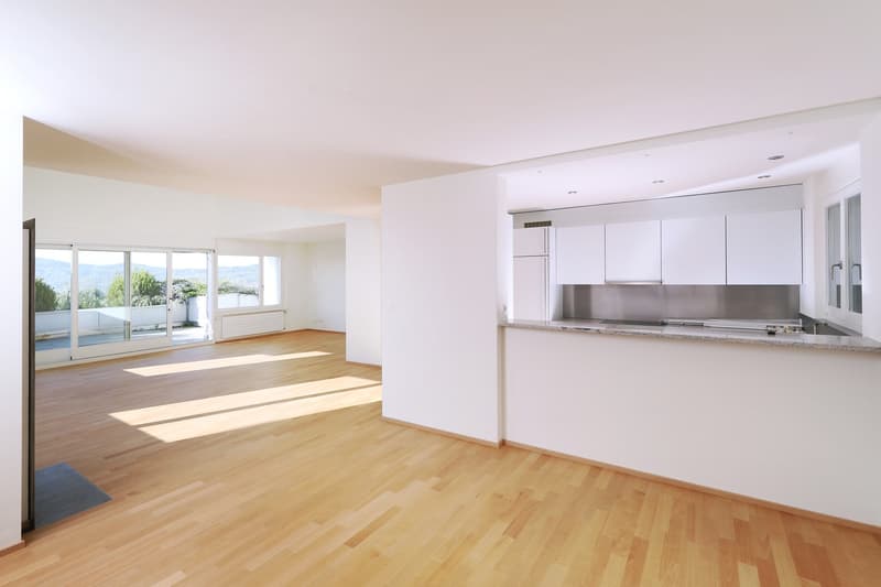 Exclusive, spacious attic apartment with breathtaking views (4)