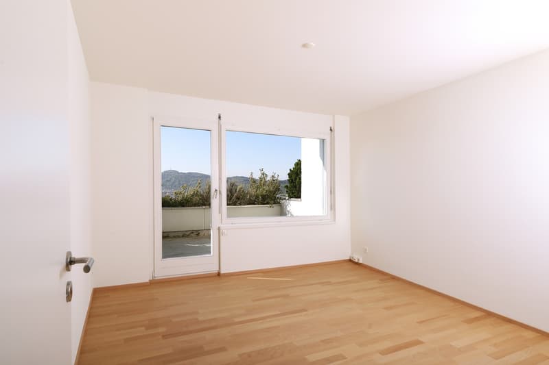 Exclusive, spacious attic apartment with breathtaking views (5)