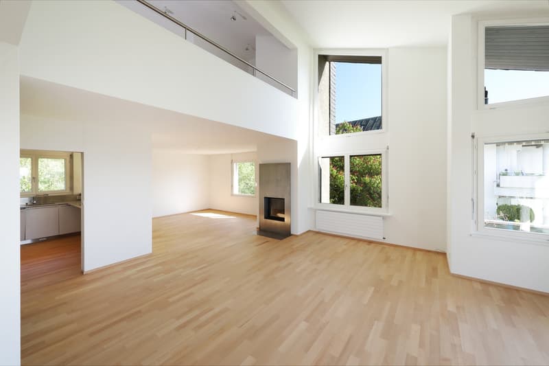 Exclusive, spacious attic apartment with breathtaking views (3)