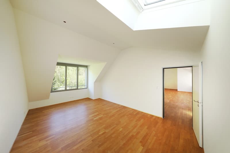 Exclusive, spacious attic apartment with breathtaking views (10)
