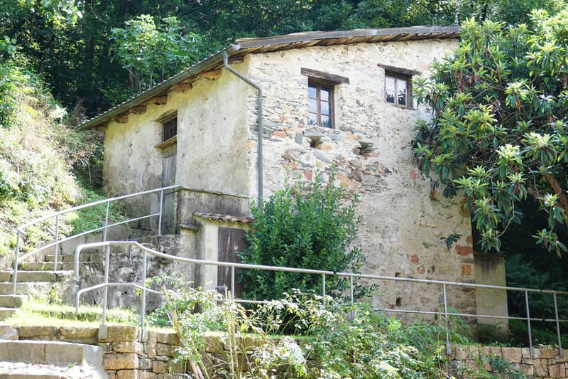Mulino