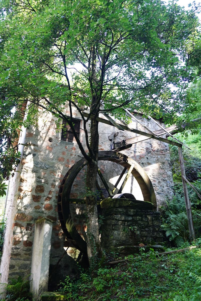 Mulino