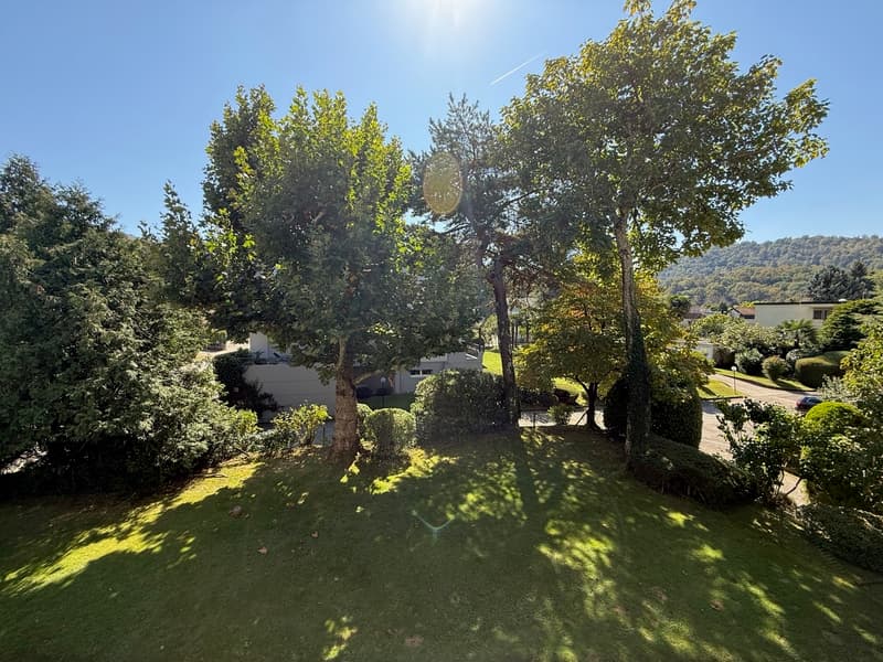 Giardino condominiale