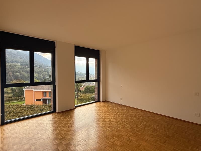 Beautiful 4.5-room apartment in a very convenient, quiet location with a view of the vineyards (6)