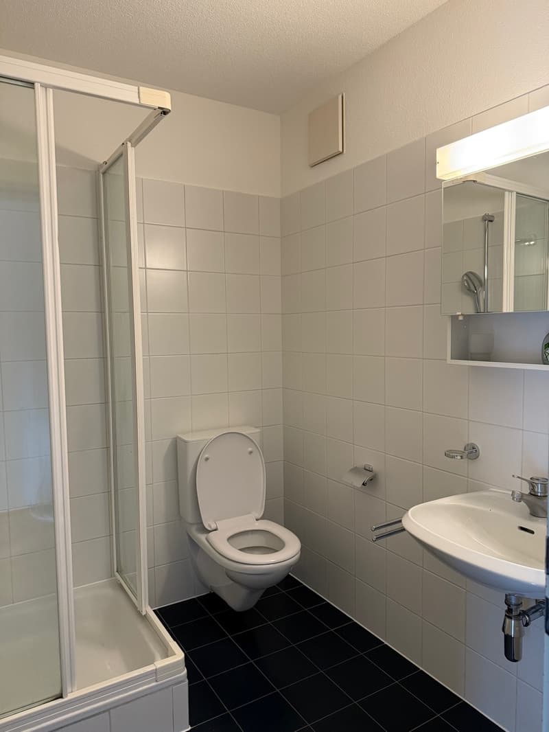 Beautiful 4.5-room apartment in a very convenient, quiet location with a view of the vineyards (10)