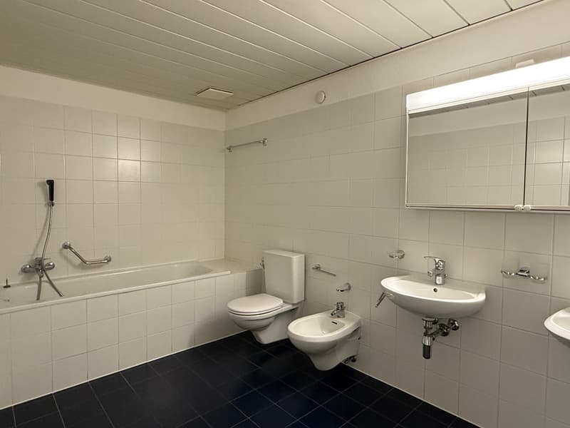 Beautiful 4.5-room apartment in a very convenient, quiet location with a view of the vineyards (11)
