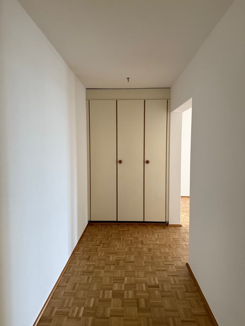 Beautiful 4.5-room apartment in a very convenient, quiet location with a view of the vineyards (9)