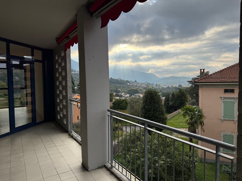 Beautiful 4.5-room apartment in a very convenient, quiet location with a view of the vineyards (4)