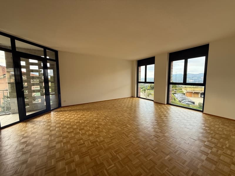 Beautiful 4.5-room apartment in a very convenient, quiet location with a view of the vineyards (3)