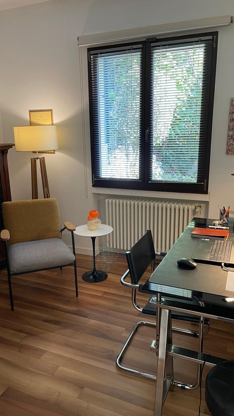Valsolda: Beautifully renovated villa on Lake Lugano (6)