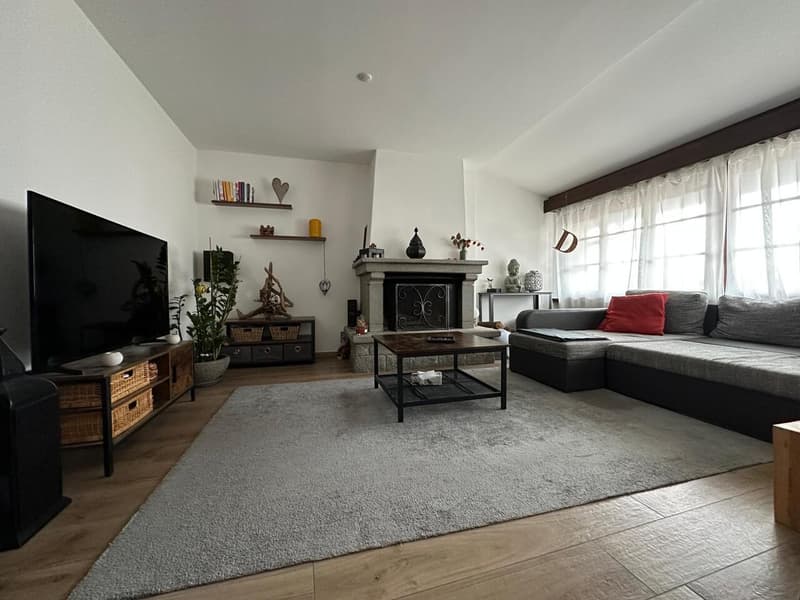 Semi-detached house with Rustico and garden in the core (11)