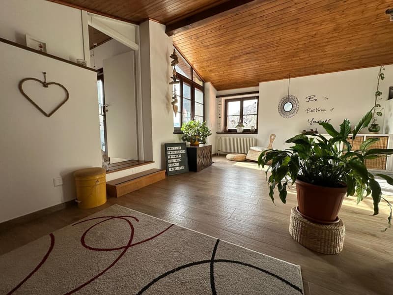 Semi-detached house with Rustico and garden in the core (7)