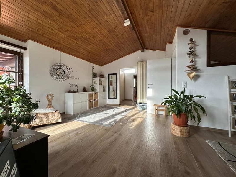 Semi-detached house with Rustico and garden in the core (12)