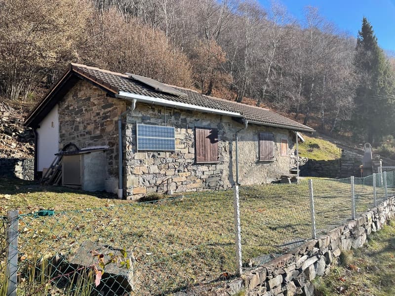 RUSTICO IMMERSO NEL VERDE, PACE E RELAX - MITTEN IM GRÜNEN, RUHE RELAX (2)
