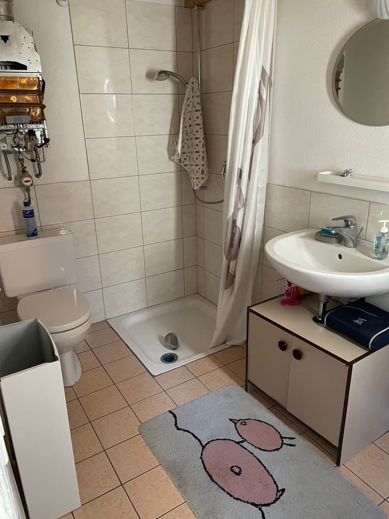 RUSTICO IMMERSO NEL VERDE, PACE E RELAX - MITTEN IM GRÜNEN, RUHE RELAX (7)