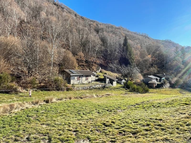 RUSTICO IMMERSO NEL VERDE, PACE E RELAX - MITTEN IM GRÜNEN, RUHE RELAX (4)