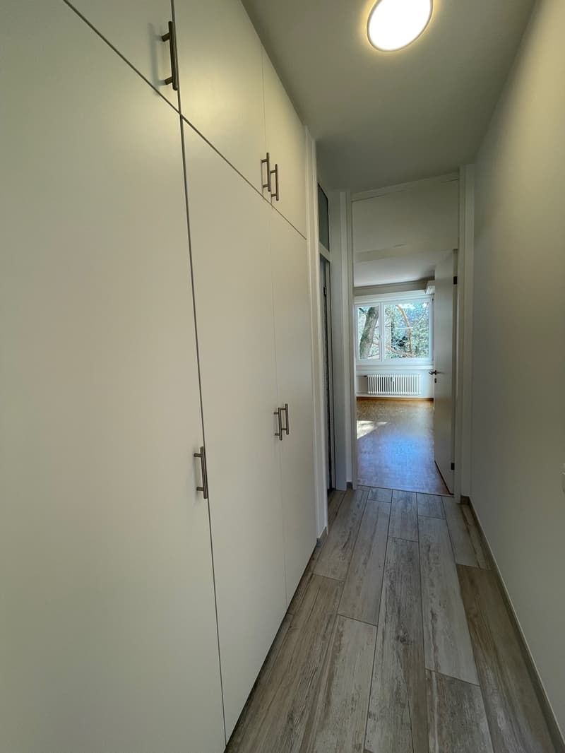 COMODO E SPAZIOSO 4.5 LOC. NEL VERDE A DUE PASSI DAL CENTRO (7)