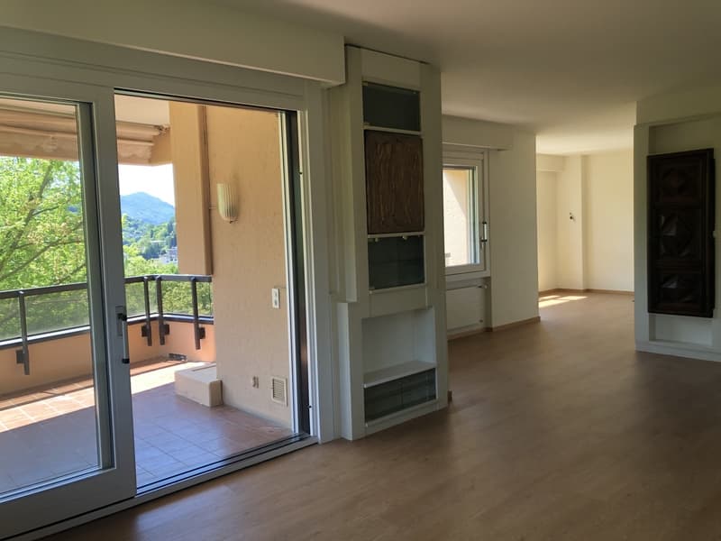 Schönes Apartment mitten im Grünen, zwei Schritte vom Zentrum entfernt (7)