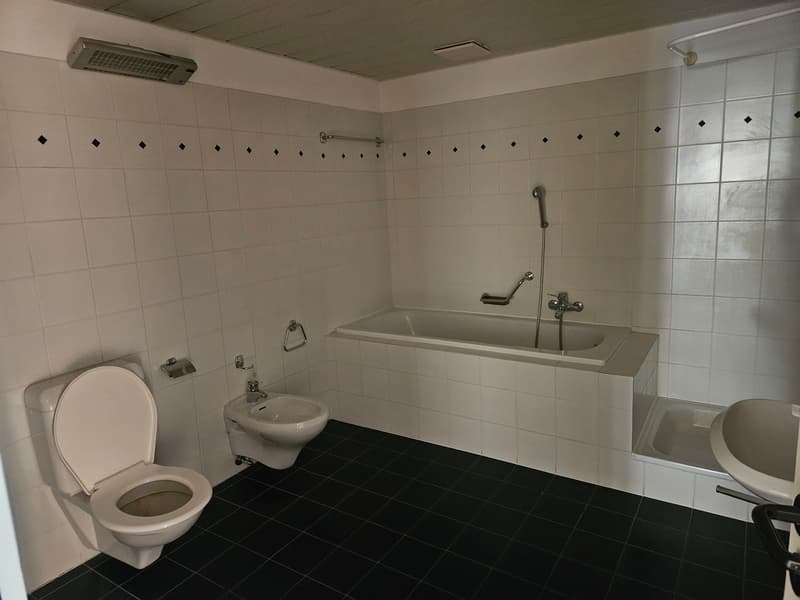 Beautiful 4.5 rooms in a very convenient quiet location (5)