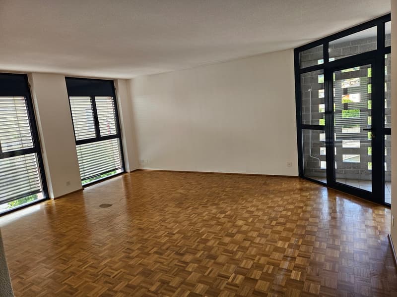 Beautiful 4.5 rooms in a very convenient quiet location (11)