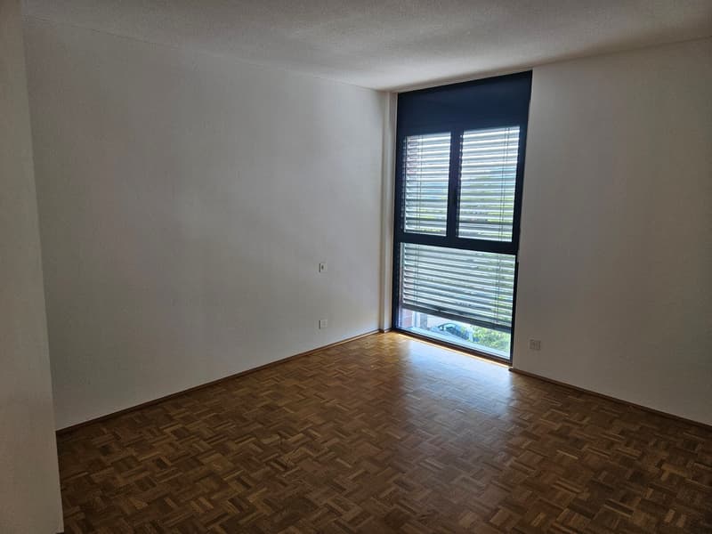 Beautiful 4.5 rooms in a very convenient quiet location (7)