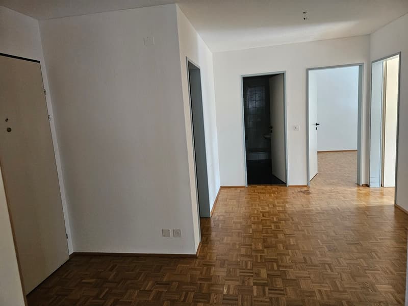 Beautiful 4.5 rooms in a very convenient quiet location (4)