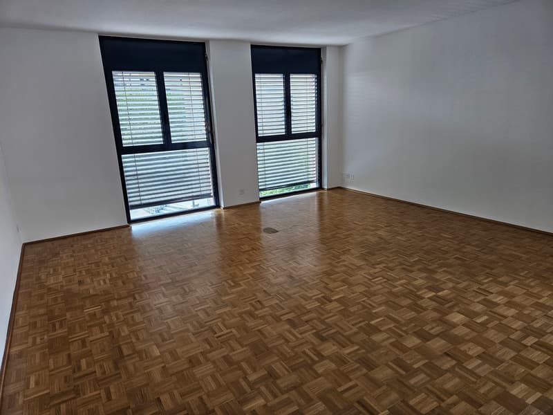 Beautiful 4.5 rooms in a very convenient quiet location (10)