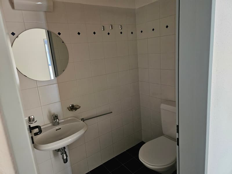Beautiful 4.5 rooms in a very convenient quiet location (12)