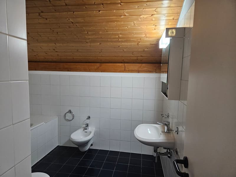 Schöne 2.5-Zimmer-Wohnung in ruhiger, sehr günstiger Lage - letztes Stockwerk (5)