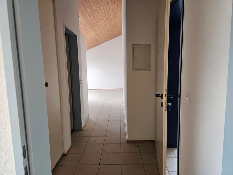 Schöne 2.5-Zimmer-Wohnung in ruhiger, sehr günstiger Lage - letztes Stockwerk (3)