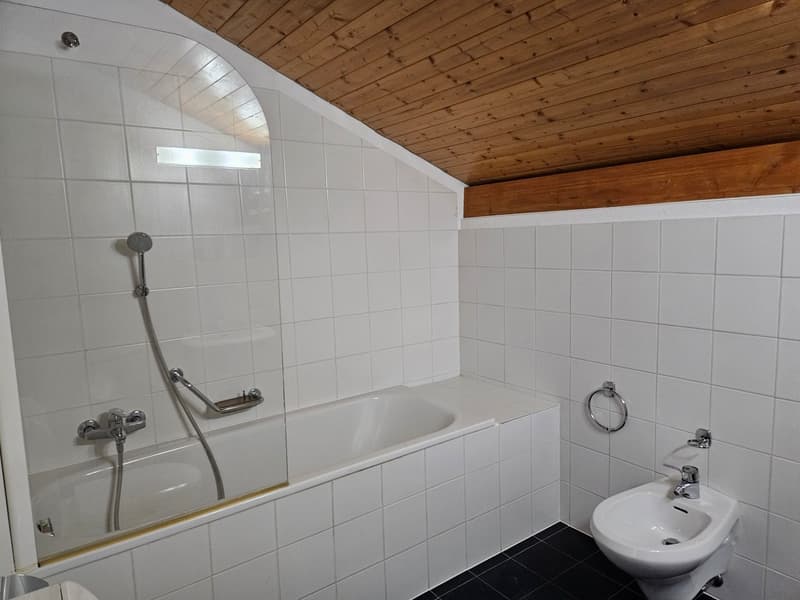 Schöne 2.5-Zimmer-Wohnung in ruhiger, sehr günstiger Lage - letztes Stockwerk (4)
