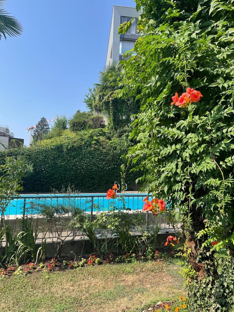 SPAZIOSO 1.5 LOCALI CON CUCINA ABITABILE E USO PISCINA (13)