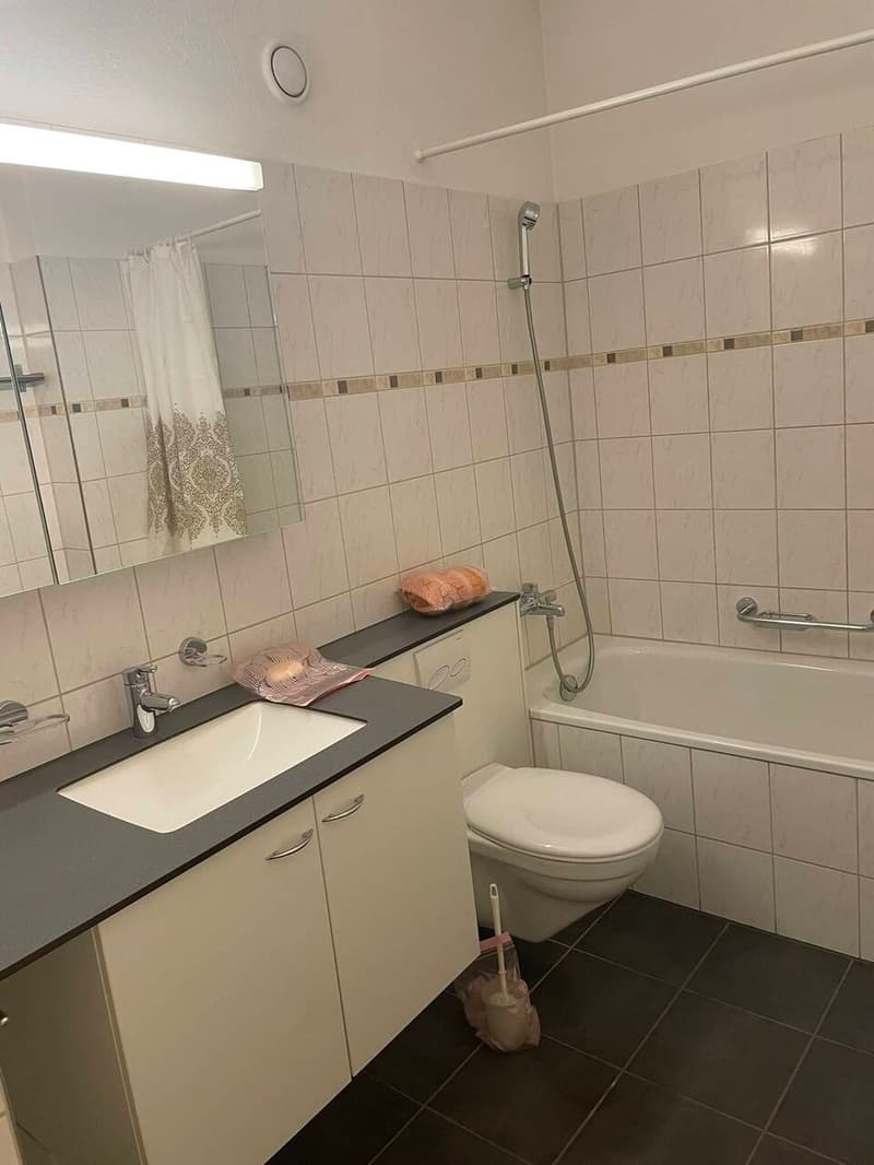 SPAZIOSO 1.5 LOCALI CON CUCINA ABITABILE E USO PISCINA (7)