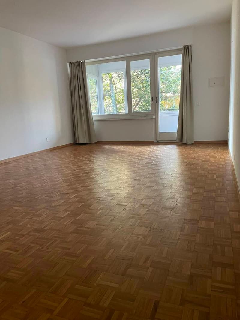 SPAZIOSO 1.5 LOCALI CON CUCINA ABITABILE E USO PISCINA (3)