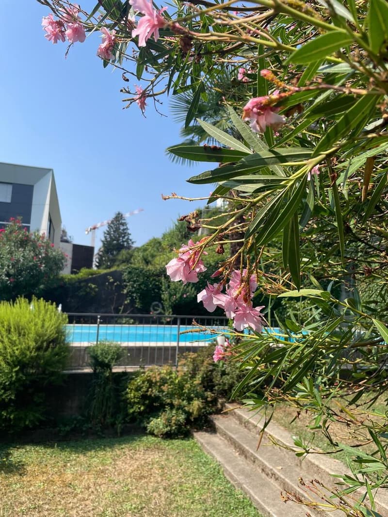 SPAZIOSO 1.5 LOCALI CON CUCINA ABITABILE E USO PISCINA (12)