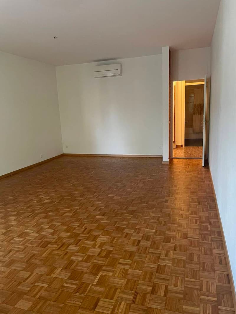 SPAZIOSO 1.5 LOCALI CON CUCINA ABITABILE E USO PISCINA (5)