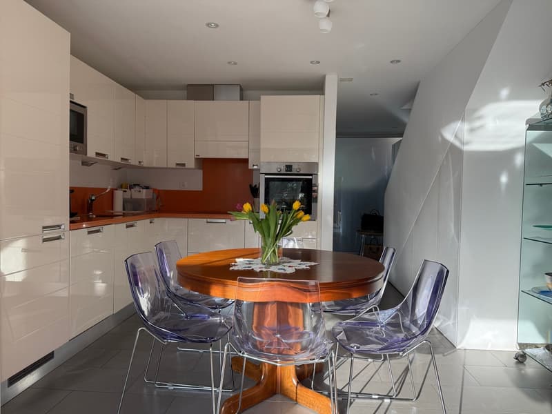 Bellissimo Duplex con giardino (3)