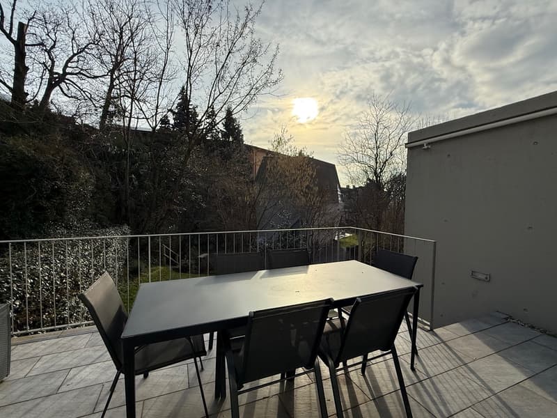 Bellissimo Duplex con giardino (5)