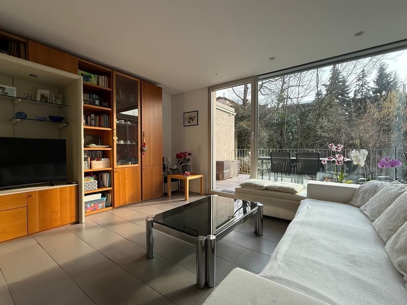 Bellissimo Duplex con giardino (4)
