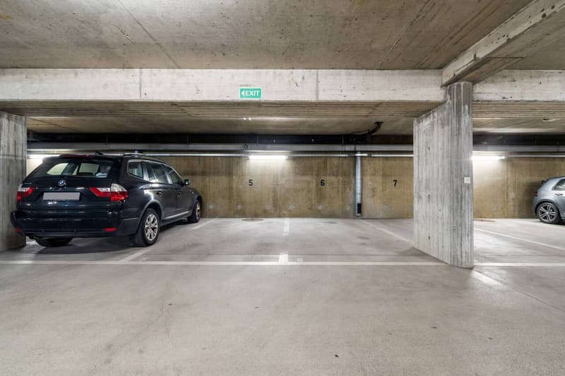 4,5 locali con meravigliosa vista lago (13)